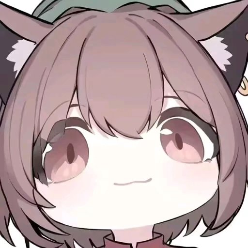 20240219194825504-Image_1700068454567