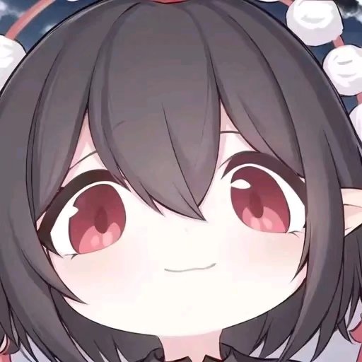 20240219194825968-Image_1700068457991