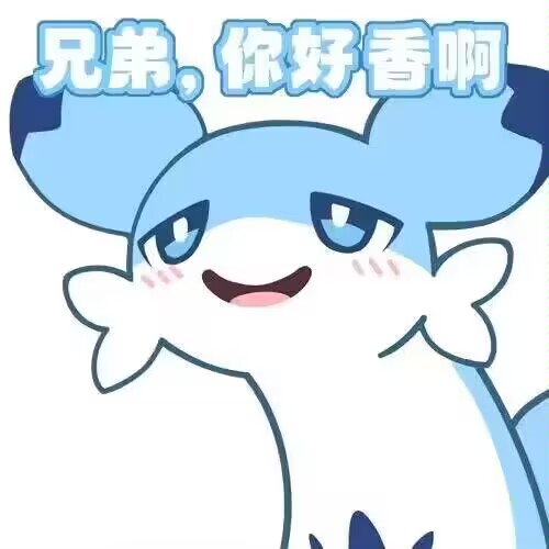 20240219205308470-C1528C39C072F2D955158BD3B6E43B7B_0