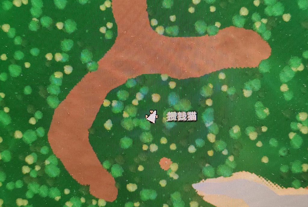 评论图片-星云玩家社区